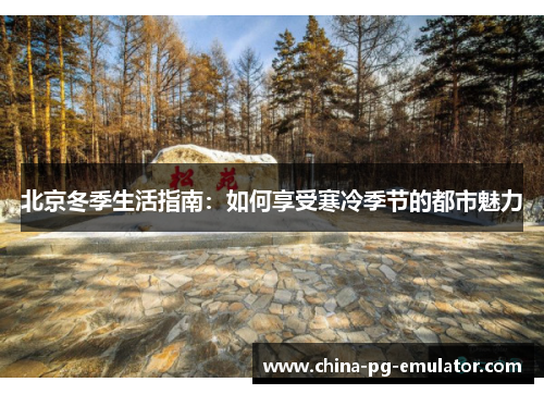 北京冬季生活指南：如何享受寒冷季节的都市魅力
