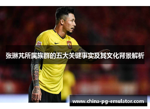 张琳芃所属族群的五大关键事实及其文化背景解析
