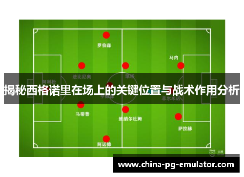 揭秘西格诺里在场上的关键位置与战术作用分析