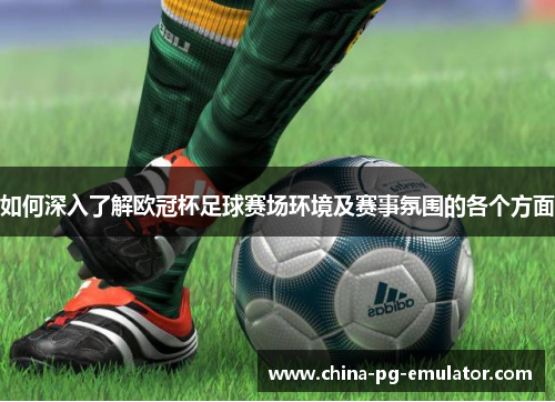 如何深入了解欧冠杯足球赛场环境及赛事氛围的各个方面