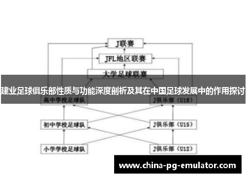 建业足球俱乐部性质与功能深度剖析及其在中国足球发展中的作用探讨