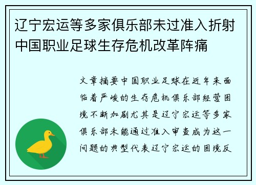 辽宁宏运等多家俱乐部未过准入折射中国职业足球生存危机改革阵痛