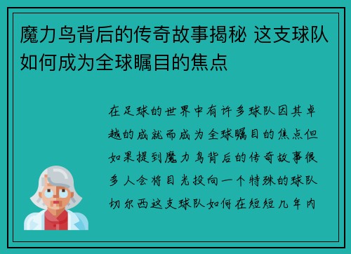 魔力鸟背后的传奇故事揭秘 这支球队如何成为全球瞩目的焦点